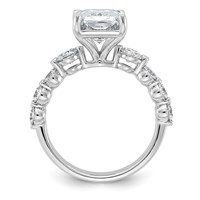 14K White Gold 5ct Cert. Radiant Ctr LabGrown Dia VS+ F+ Ring with Round Sides Comp view 2