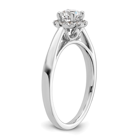 14k White Gold Halo (Holds 1/2 carat (5.1mm) Round Center) 1/5 carat Diamond Semi-mount Engagement Ring
