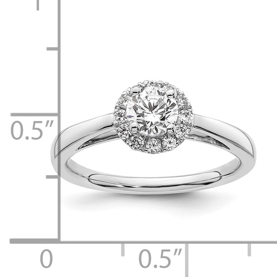 14k White Gold Halo (Holds 1/2 carat (5.1mm) Round Center) 1/5 carat Diamond Semi-mount Engagement Ring