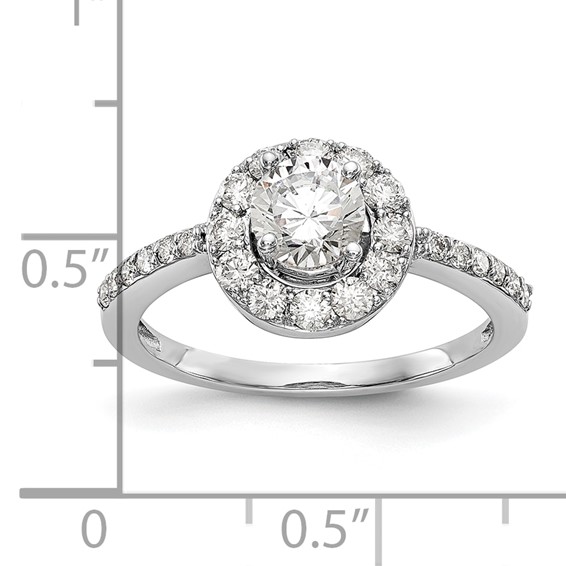 14K White Gold Halo (Holds 1/2 carat (5.00mm) Round Center) Engagement Ring Mounting