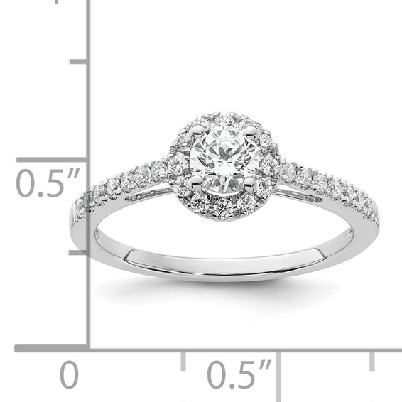 Diamond Halo Semi-Mount & Complete Engagement Rings