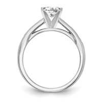 14K White Gold 0.20 Carat Lab Grown Diamond VS SI+ G+ Semi-Mount Pet Set Engagement Ring view 2