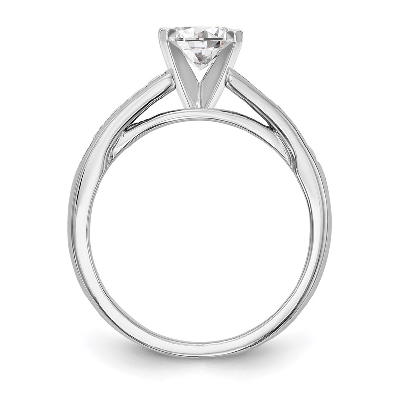 14k White Gold 1/5 carat Lab Grown Diamond VS/SI+ G+ Semi-Mount Pet Set Engagement Ring