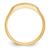 True Origin 14K Yellow Gold Men's 0.33 Carat Lab Grown Diamond VS+ F+ Complete Channel Five Stone Band view 2