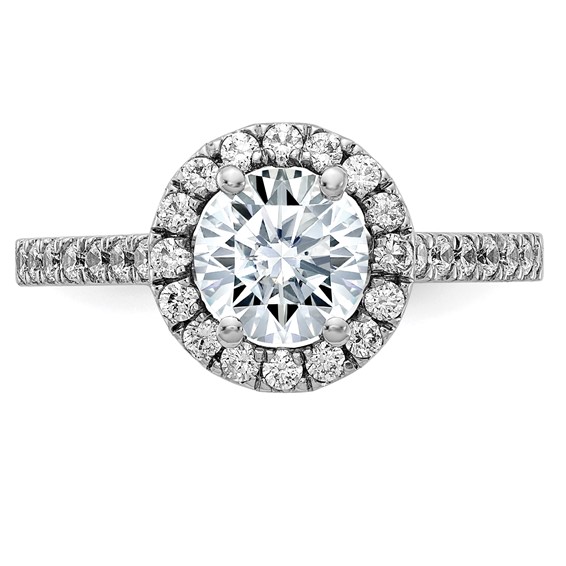 Moissanite Halo Engagement Rings