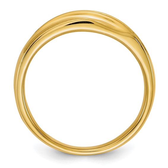 14k 1/5 carat Diamond Complete Men's Band : Satin E/W