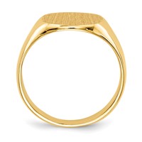 14K Yellow Gold 13.5x 12.5mm Cushion Closed Back Mens Signet Ring view 2
