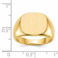14K Yellow Gold 15.0x 13.5mm Cushion Closed Back Mens Signet Ring view 5