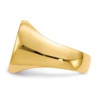 10K Yellow Gold 16.0x 17.0mm Cushion-shaped Closed Back Mens Signet Ring view 3
