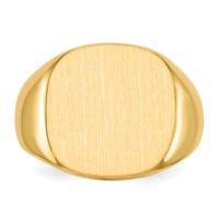 10K Yellow Gold 16.0x 17.0mm Cushion-shaped Closed Back Mens Signet Ring view 4
