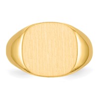 14K Yellow Gold 15.0x13.5mm Cushion Open Back Mens Signet Ring view 4
