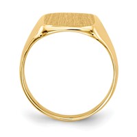 14K Yellow Gold 10.0x10.0mm Cushion Closed Back Signet Ring view 2