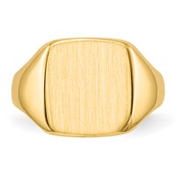 14K Yellow Gold 10.0x10.0mm Cushion Closed Back Signet Ring view 4