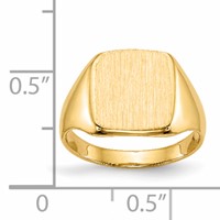 14K Yellow Gold 10.0x10.0mm Cushion Closed Back Signet Ring view 5