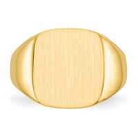 14K Yellow Gold 13.5x 15.0mm Cushion Closed Back Mens Signet Ring view 4