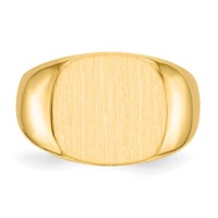 14K Yellow Gold 15.5x 14.0mm Cushion Closed Back Mens Signet Ring view 4