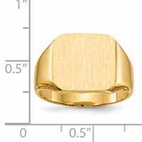14K Yellow Gold 13.0x 14.0mm Octagon Closed Back Mens Signet Ring view 5