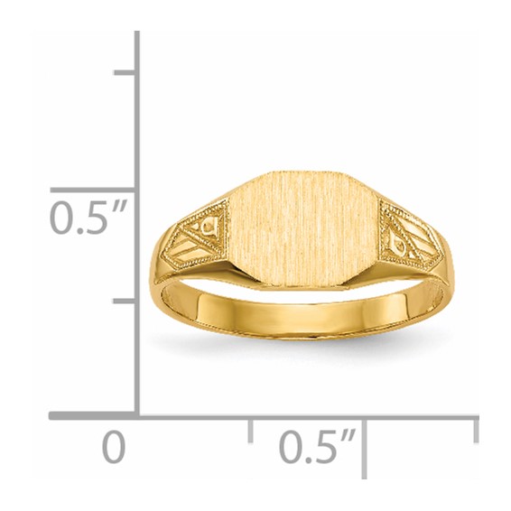 Gold Polished Textured Signet Ring