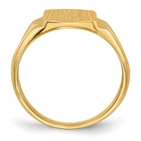 14K Yellow Gold 8.5x 10.5mm Cushion Closed Back Signet Ring view 2