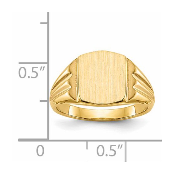 14k 8.5x10.5mm Cushion Closed Back Signet Ring