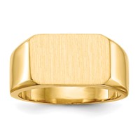 10K Yellow Gold 10.0x 15.0mm Rectangle Closed Back Mens Signet Ring view 1