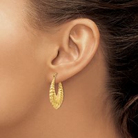 14K Yellow Gold Polished Scalloped Hollow Hoop Earrings view 3