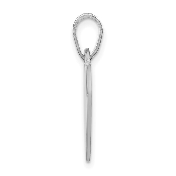 Heart Picture Jewelry Charm                                             