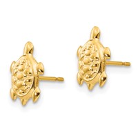 14K Yellow Gold Madi K Turtle Post Earrings view 2