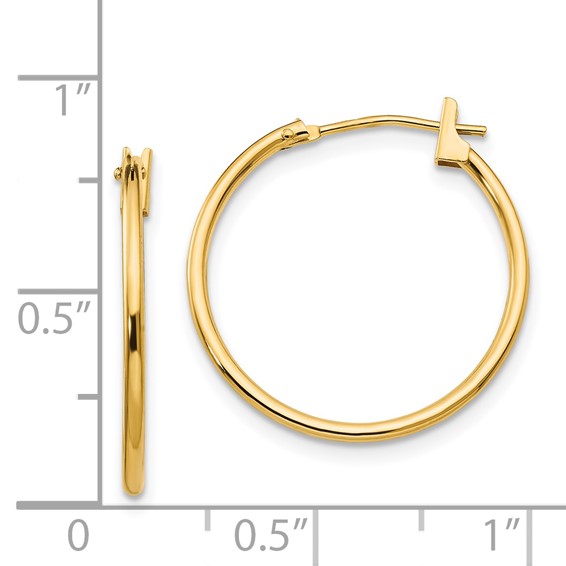 Gold Hoop Earrings