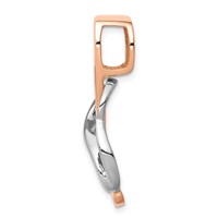 14K Two-tone Slide Fits Up to 4mm Regular 6mm Fancy Or Reversible Omega view 2