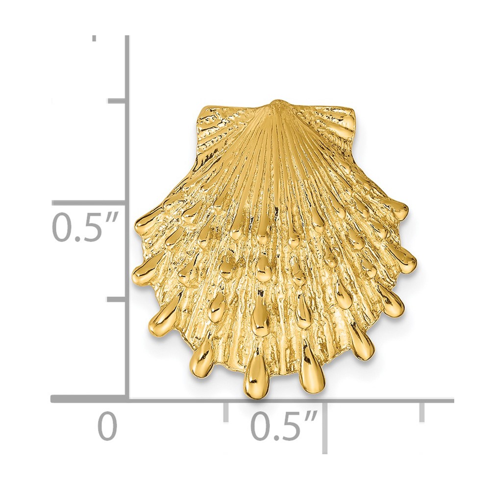 14k Lion's Paw Shell Slide (SL606)