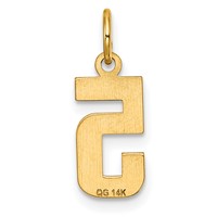 14K Yellow Gold Small Brushed Diamond-cut Number 5 Charm view 3