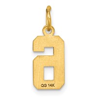 14K Yellow Gold Small Brushed Diamond-cut Number 6 Charm view 3