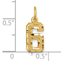 14K Yellow Gold Small Brushed Diamond-cut Number 6 Charm view 4