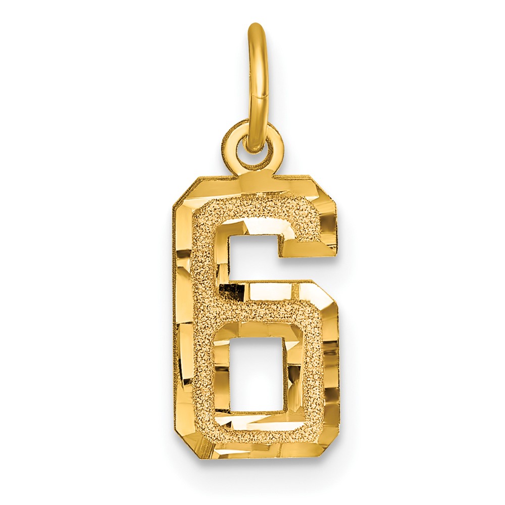 14K Yellow Gold Small Brushed Diamond-cut Number 6 Charm