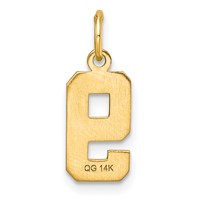 14K Yellow Gold Small Brushed Diamond-cut Number 9 Charm view 3