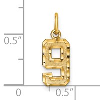 14K Yellow Gold Small Brushed Diamond-cut Number 9 Charm view 4