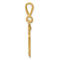 14K Yellow Gold Small Brushed Diamond-cut Number 10 Charm view 2
