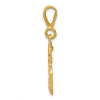 14K Yellow Gold Small Brushed Diamond-cut Number 15 Charm view 2