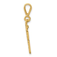 14K Yellow Gold Small Brushed Diamond-cut Number 16 Charm view 2