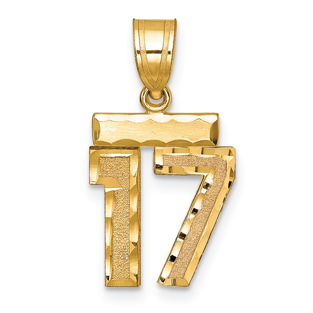 14K Yellow Gold Small Brushed Diamond-cut Number 17 Charm