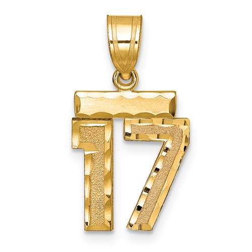 14K Yellow Gold Small Brushed Diamond-cut Number 17 Charm