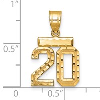 14K Yellow Gold Small Brushed Diamond-cut Number 20 Charm view 2