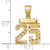 14K Yellow Gold Small Brushed Diamond-cut Number 25 Charm view 2
