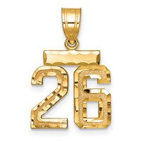 14K Yellow Gold Small Brushed Diamond-cut Number 26 Charm view 1