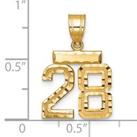 14K Yellow Gold Small Brushed Diamond-cut Number 28 Charm view 2