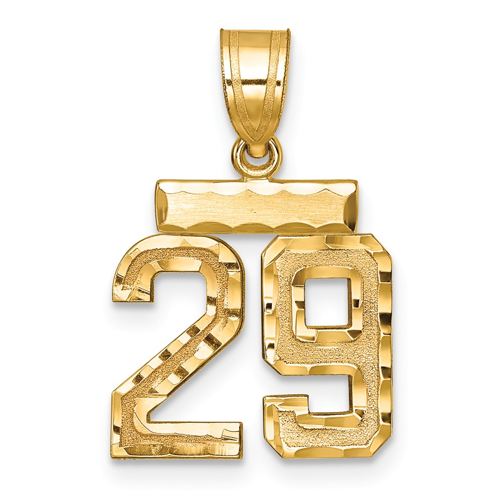 14K Yellow Gold Small Brushed Diamond-cut Number 29 Charm