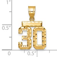 14K Yellow Gold Small Brushed Diamond-cut Number 30 Charm view 3