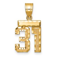 14K Yellow Gold Small Brushed Diamond-cut Number 31 Charm view 1