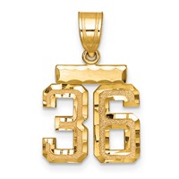 14K Yellow Gold Small Brushed Diamond-cut Number 36 Charm view 1
